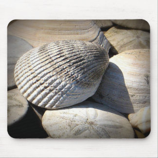 Seashells Mouse Pad