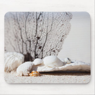 Seashells Mouse Pad