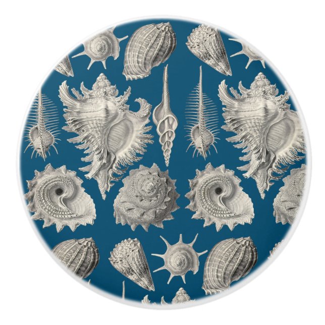 Seashells Nautical Beach Shells Blue White Ceramic Knob (Front)