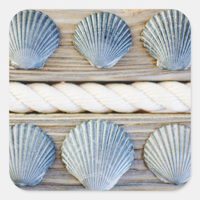 Seashells | New York City Square Sticker (Front)