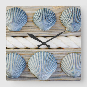 Seashells   New York City Square Wall Clock