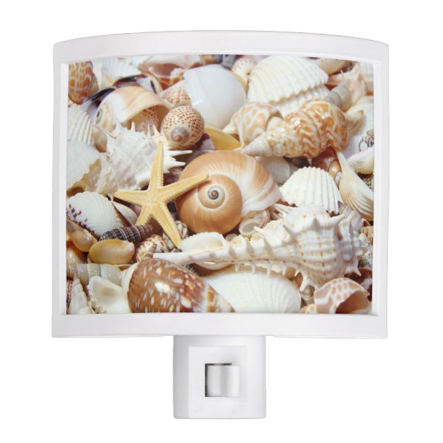 Seashells Night Light (Front)
