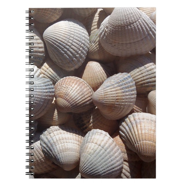 Seashells Notebook (Front)