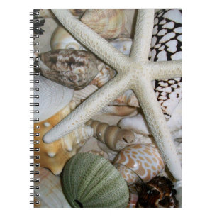 Seashells Notebook