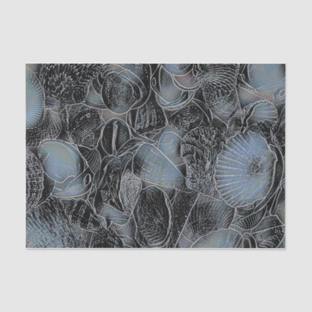 Seashells Ocean Beach Pastel Blue Black Decoupage Tissue Paper (Front)