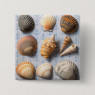 Seashells On Anchor Backdrop 2 Inch Square Button