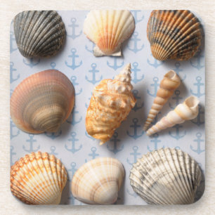 Seashells On Anchor Backdrop Coaster
