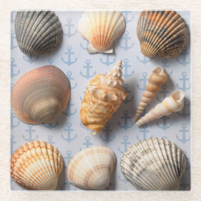 Seashells On Anchor Backdrop Glass Coaster (Front)