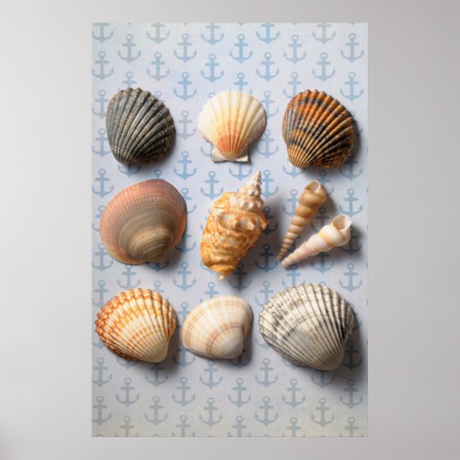 Seashells On Anchor Backdrop Poster (Front)