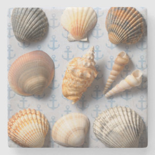Seashells On Anchor Backdrop Stone Coaster