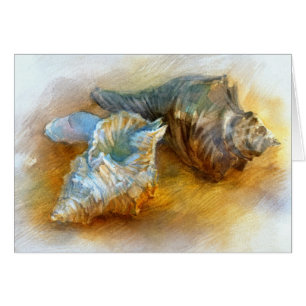 Seashells on the beach