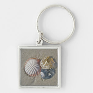 Seashells on the Beach Business Card Keychain