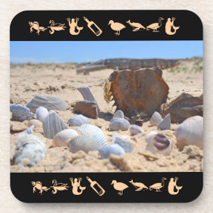 Seashells on the Beach by Shirley Taylor Coaster