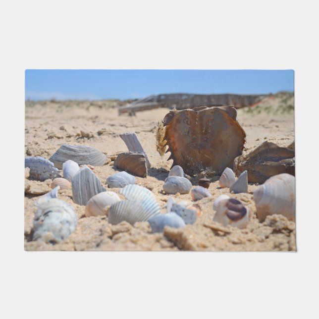Seashells On The Beach by Shirley Taylor Doormat (Front)