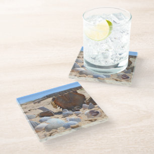 Seashells on the Beach by Shirley Taylor Glass Coaster