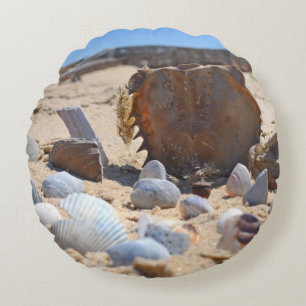 Seashells on the Beach by Shirley Taylor Round Pillow