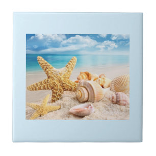 Seashells on the beach tile