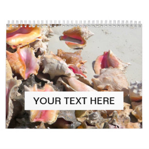 Seashells on the Beach   Turks and Caicos Photo Calendar