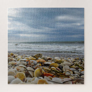 Seashells on the Seashore - 20x20 - 676 pcs Jigsaw Puzzle