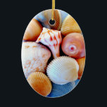 Seashells Ornament<br><div class="desc">A collection of beautiful shells found on the beach will add colours to your Christmas tree.</div>