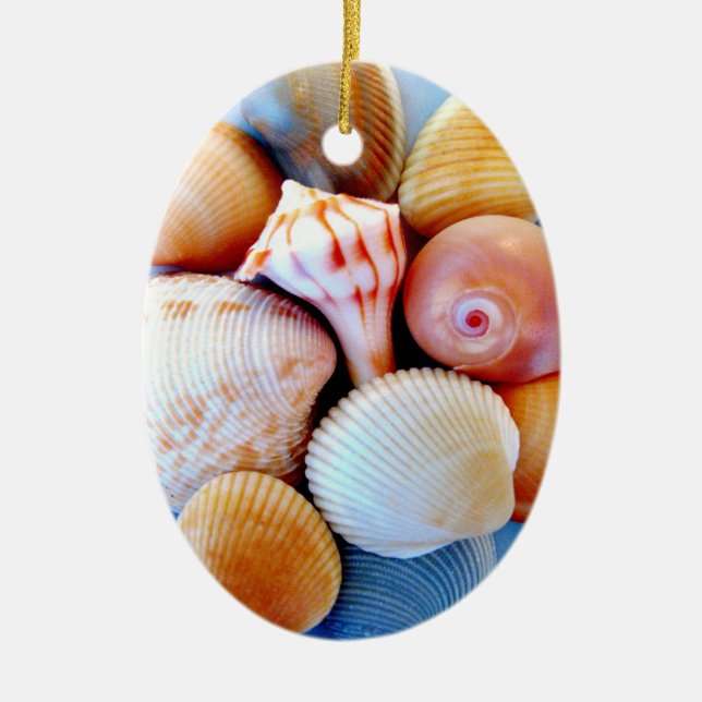 Seashells Ornament (Front)
