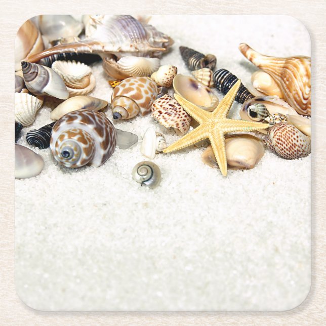 Seashells Paper Coasters (Front)