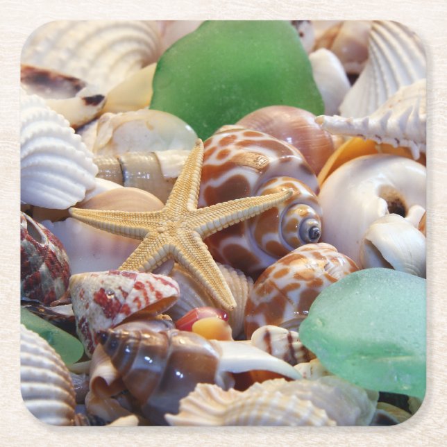 Seashells Paper Drink Coasters (Front)