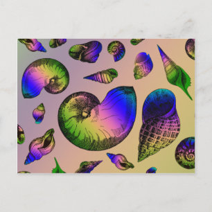 Seashells Postcard