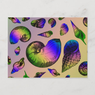 Seashells Postcard