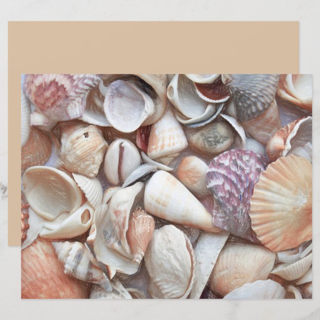 Seashells Sketch Ocean Nautical Beach Decoupage (Front/Back)