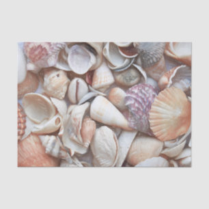 Seashells Sketch Ocean Nautical Beach Decoupage Tissue Paper