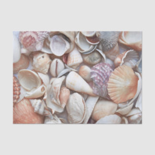Seashells Sketch Ocean Nautical Beach Decoupage Tissue Paper
