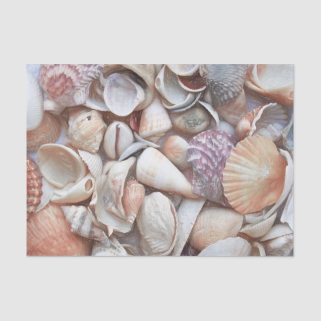 Seashells Sketch Ocean Nautical Beach Decoupage Tissue Paper (Front)