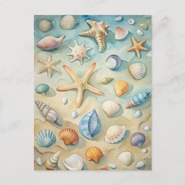 Seashells Starfish Coastal Beach Nautical Art Postcard (Front)