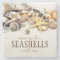 Seashells