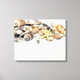 Seashells Stretched Canvas Print