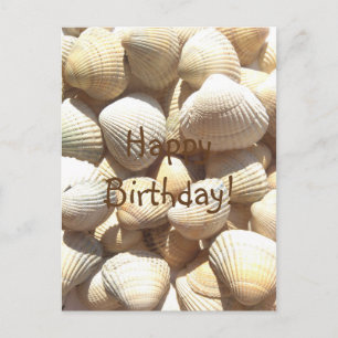 Seashells Summer, Happy Birthday Congratulations Postcard