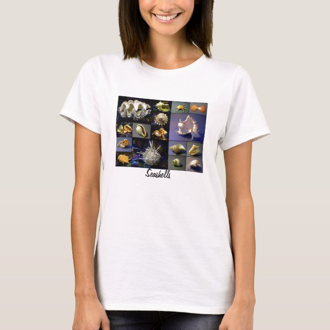 Seashells T Shirt (Front)