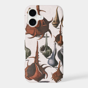 Seashells, Vintage Sea Shells, Ocean Marine Life