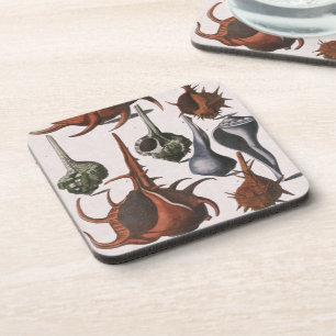 Seashells, Vintage Sea Shells, Ocean Marine Life Coaster