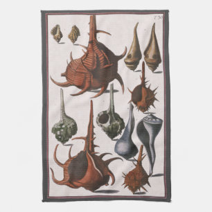 Seashells, Vintage Sea Shells, Ocean Marine Life Kitchen Towel