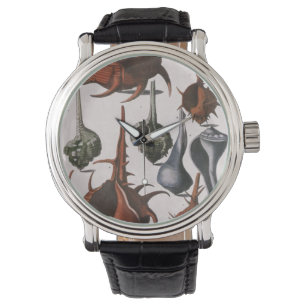 Seashells, Vintage Sea Shells, Ocean Marine Life Watch