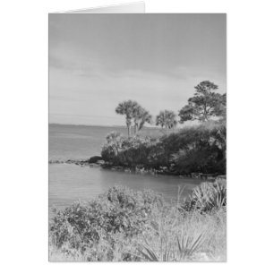 Seashore