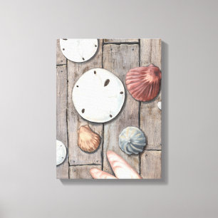 Seashore Treasures Canvas Print