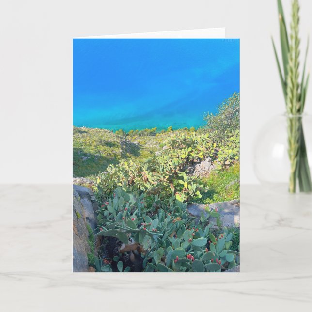 Seaside Cactus Nafplion Greece Card (Front)