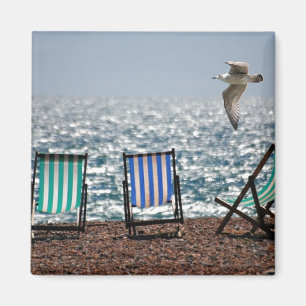 Seaside Deck Chairs and Seagull Magnet