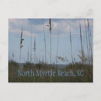 Seaside Dreams - North Myrtle Beach, SC Postcard