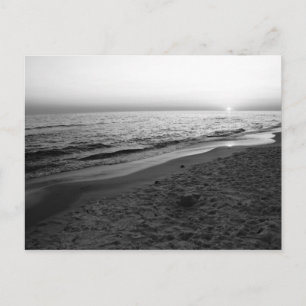 Seaside Florida sunset black & white postcard