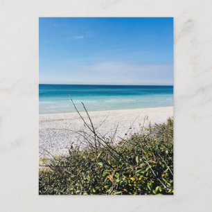 Seaside in November Postcard