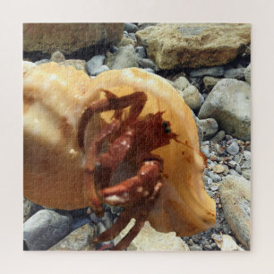 Seaside Rocks With Hermit Crab Jigsaw Puzzle